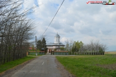 Manastirea Sadova 36