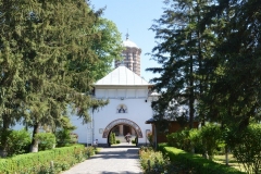 Mănăstirea Sămurcășești 31