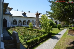 Mănăstirea Sămurcășești 9