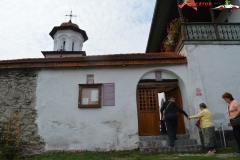 Manastirea Saracinesti 15