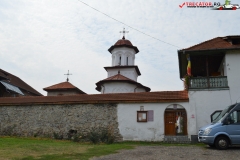 Manastirea Saracinesti 16