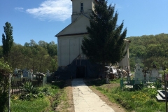 Mănăstirea Sf. Calinic din Popâzăleşti 5