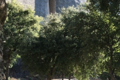 Manastirea Sfantul Nicolae Anapafsas, Meteora Grecia 23