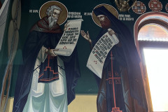 Mănăstirea Sfântul Pantelimon Păltiniş 20