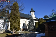Manastirea Slatina 09