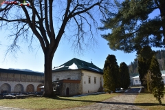 Manastirea Slatina 33