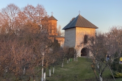 Mănăstirea Snagov 12
