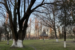 Mănăstirea Snagov 49