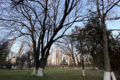 Mănăstirea Snagov 50