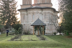Mănăstirea Snagov 54