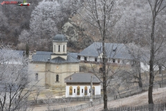 Mănăstirea Stânișoara 04