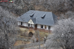 Mănăstirea Stânișoara 10