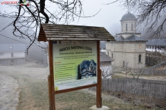 Mănăstirea Stânișoara 18