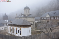 Mănăstirea Stânișoara 20