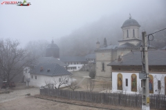 Mănăstirea Stânișoara 21