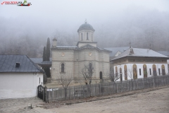 Mănăstirea Stânișoara 22
