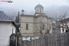 Mănăstirea Stânișoara 24