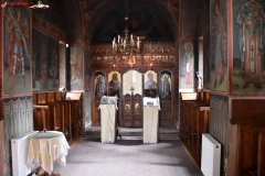 Mănăstirea Stânișoara 48