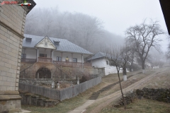 Mănăstirea Stânișoara 51