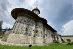 Manastirea Sucevita 18
