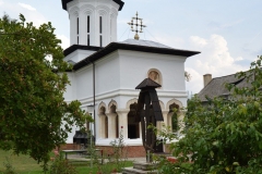Mănăstirea Surpatele 19