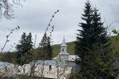 Mănăstirea Tarnița 56