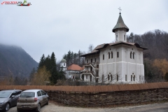 Mănăstirea Turnu 01