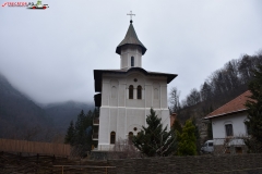 Mănăstirea Turnu 03