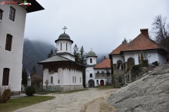 Mănăstirea Turnu 10