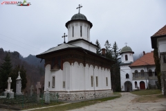 Mănăstirea Turnu 12