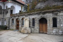 Mănăstirea Turnu 13