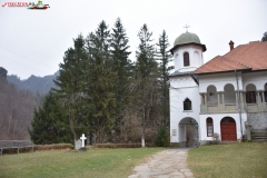 Mănăstirea Turnu 17