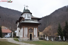 Mănăstirea Turnu 19