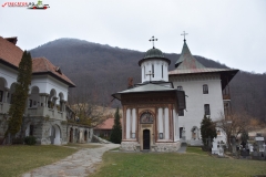 Mănăstirea Turnu 22