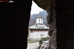 Mănăstirea Turnu 44