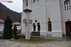 Mănăstirea Turnu 59