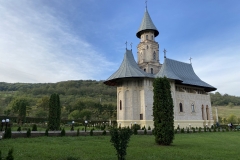 Mănăstirea Vlădiceni 06