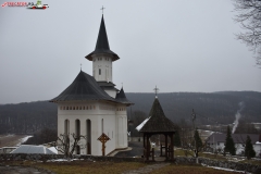 Manastirea Voievozi 15