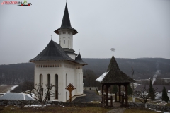 Manastirea Voievozi 18