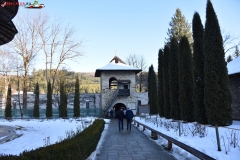 Manastirea Voronet 40