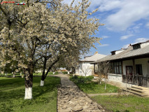 Mănăstirea Zamfira aprilie 2023 29
