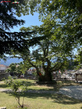 Metsovo, Grecia 07