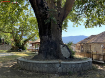 Metsovo, Grecia 11