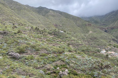 Mirador Altos de Baracán, Tenerife 11