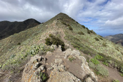 Mirador Altos de Baracán, Tenerife 47