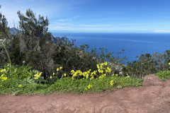 Mirador Bailadero, Tenerife 72