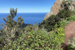 Mirador Bailadero, Tenerife 84