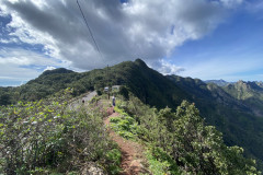 Mirador Bailadero, Tenerife 88