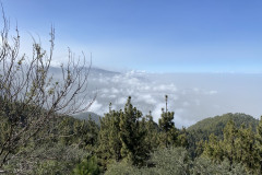 Mirador de Chipeque, Tenerife 23