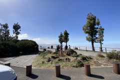 Mirador de Chipeque, Tenerife 30